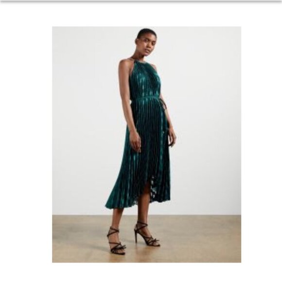 Ted Baker SASSKI Pleated maxi dress - NWOT - Picture 4 of 5